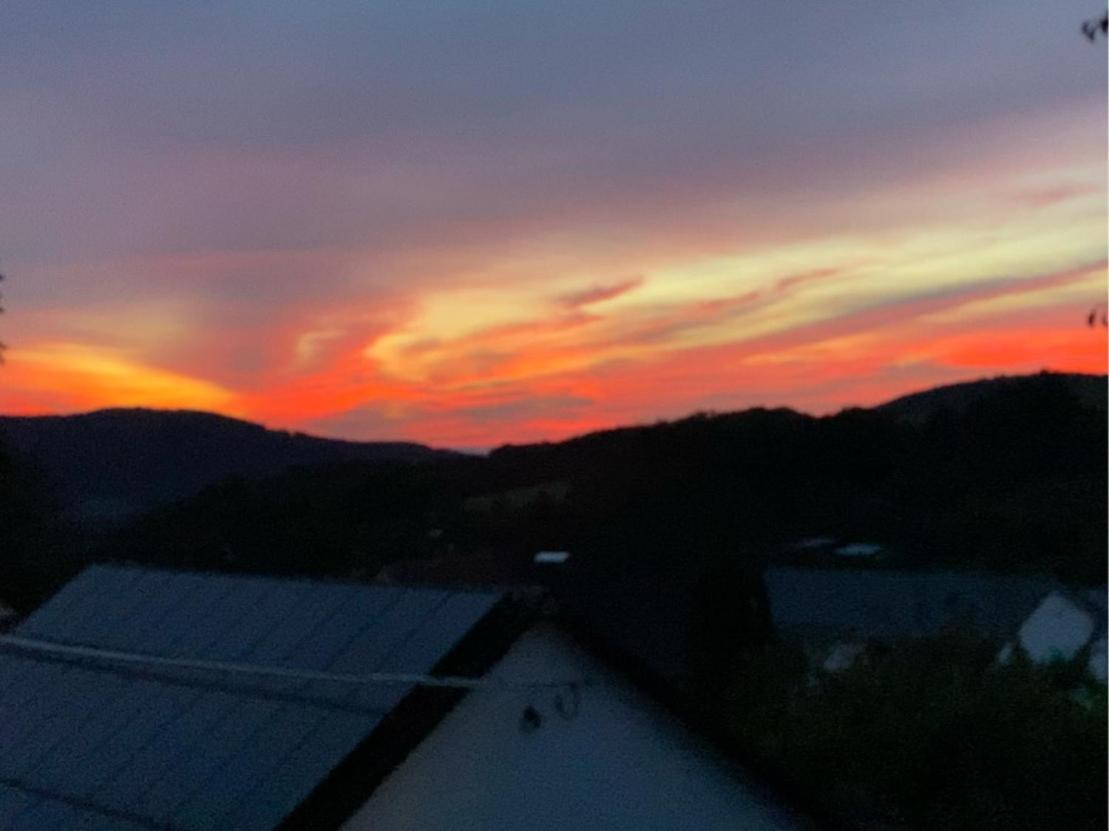 Ferienwohnung Mit Ausblick Mombris エクステリア 写真